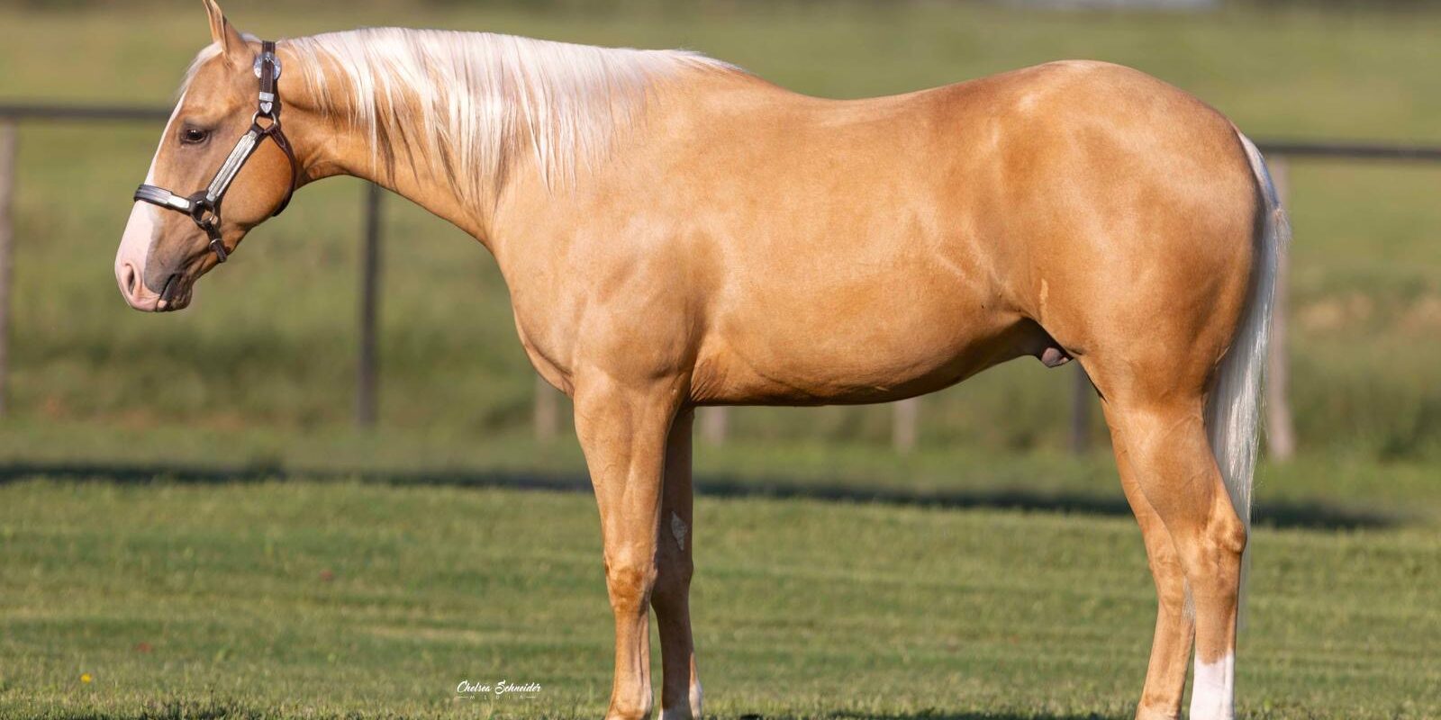 b60cd583-1e70-46d4-b196-076739d51d83